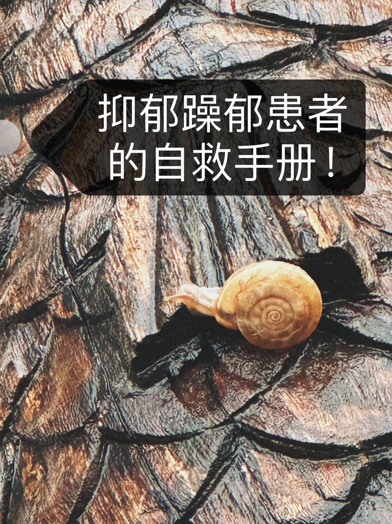 皓歌志博客：让知识如春风般温暖人心